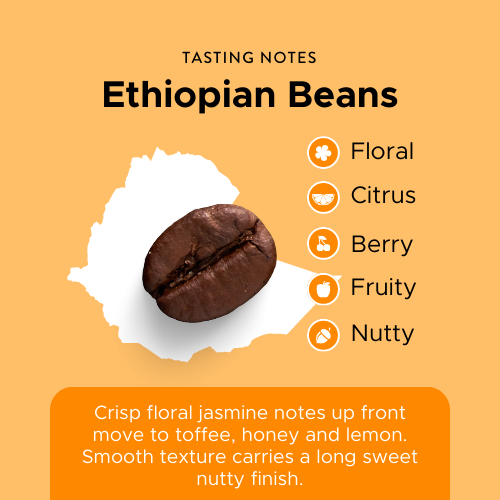 Ethiopian  Single Origin 1kg