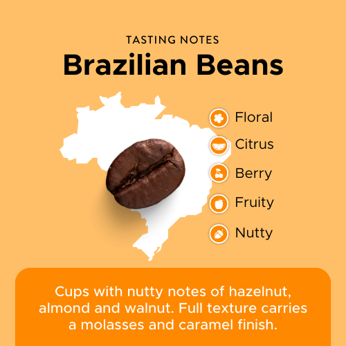 Brazilian Single Origin 1kg