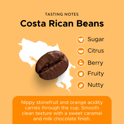 Costa Rican Single Origin 1kg